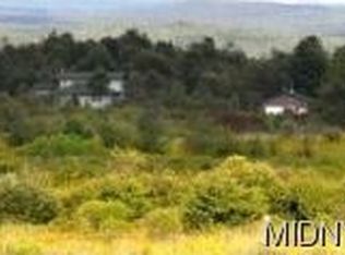 253 Fisher Rd, Cold Brook, NY 13324