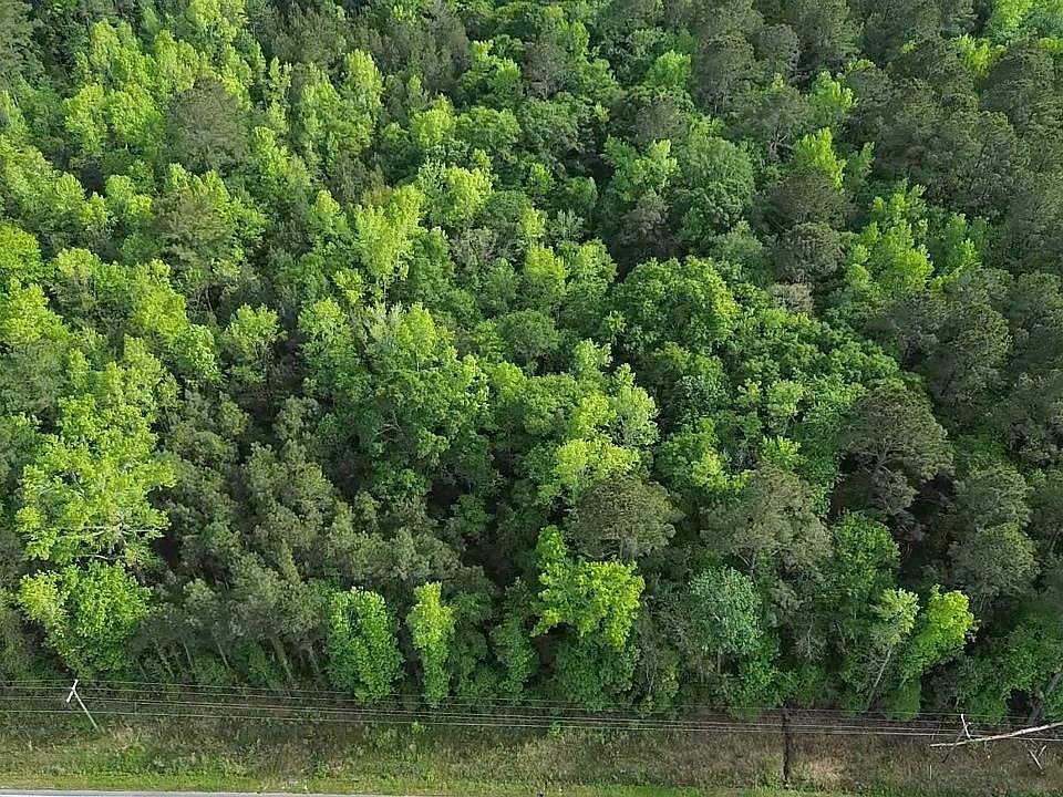 2nd image of TBD Walker Rd.