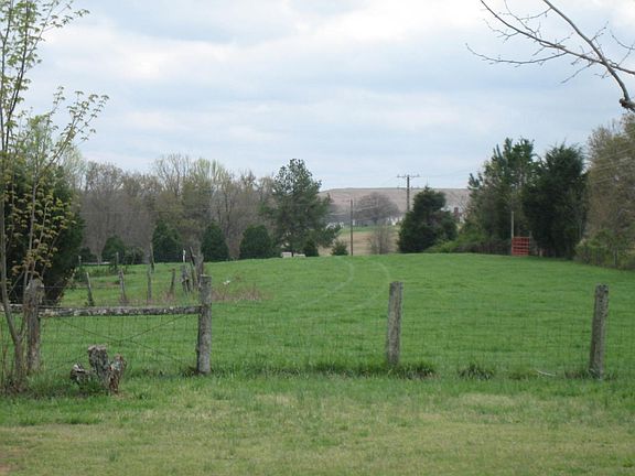 Side pasture with cows