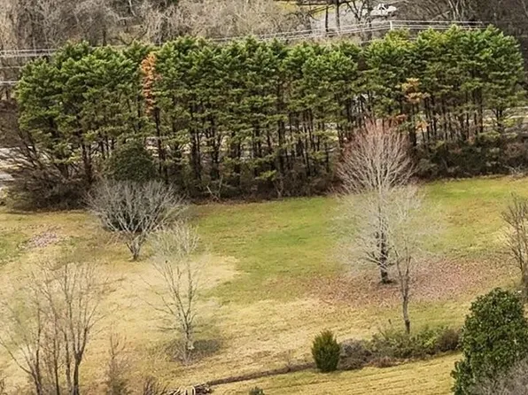 5601 Barineau Ln, Knoxville, TN 37920