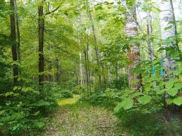 Menominee Woods Dr #67, Wausaukee, WI 54177