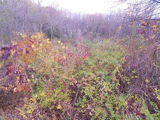 2nd image of LOT 1 Venetian Ln
