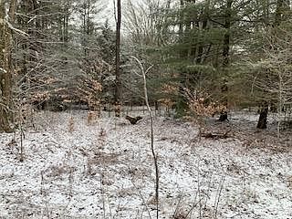 1st image of 0 Monacacy Ln