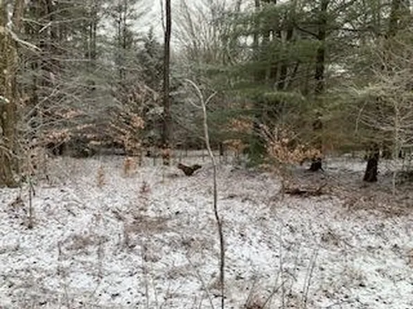 0 Monacacy Ln, Westfield, PA 16950