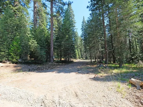 3 Twelve Elk Springs Dr Lot G, McCloud, CA 96057
