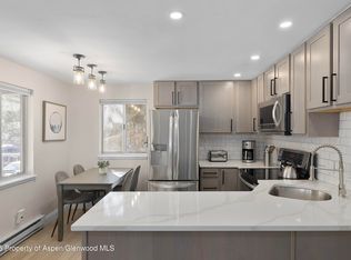 940 Waters Ave Unit 201, Aspen, CO 81611