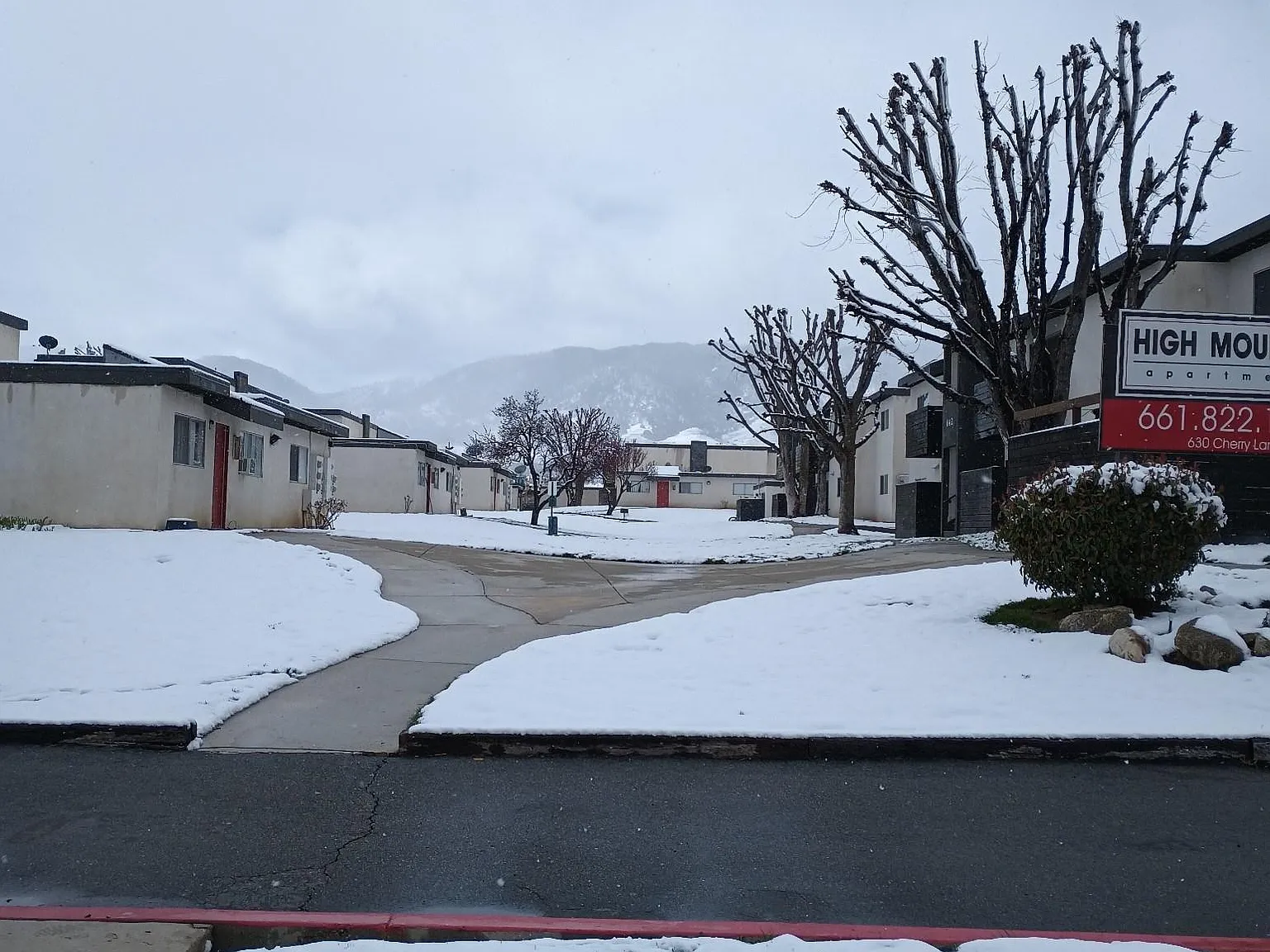 1 bed, 758 sqft, $1,399 — Photo 2