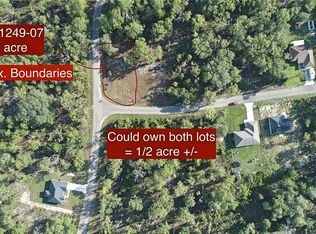7 Guava Place Pass #7, Ocklawaha, FL 32179
