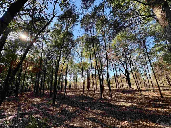Adams Rd, Crestview, FL 32536