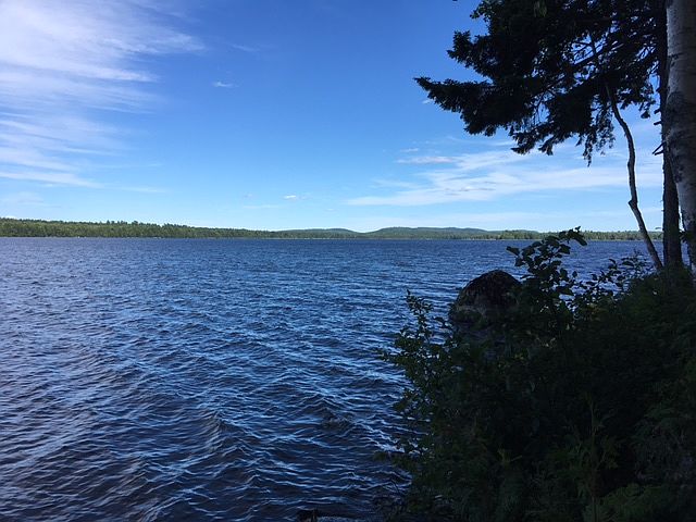 2nd image of Long Point Rd