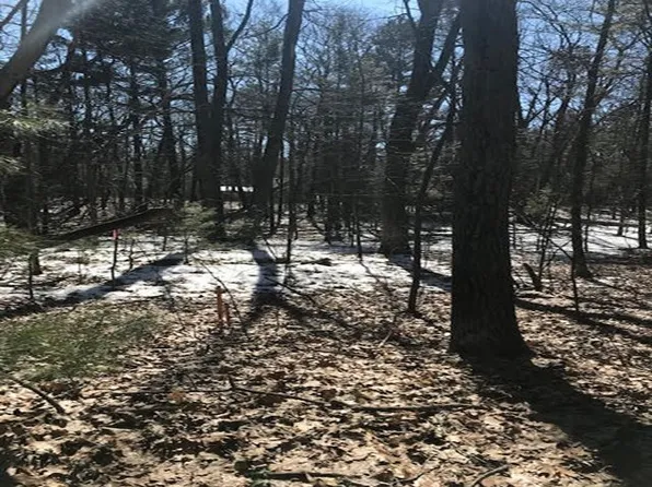 N/a East St #3, Au Gres, MI 48703