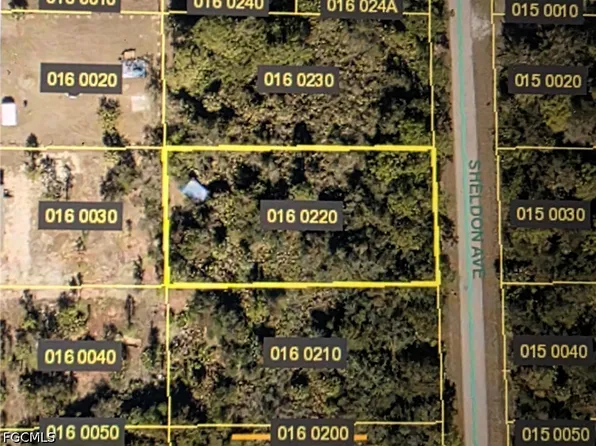 919 Sheldon Ave, Lehigh Acres, FL 33936