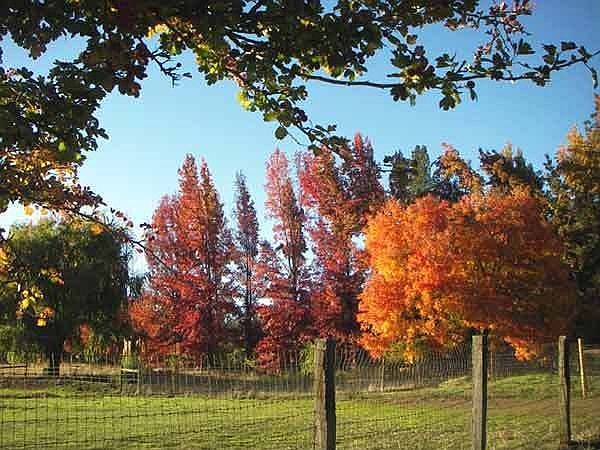 October on the Ranch