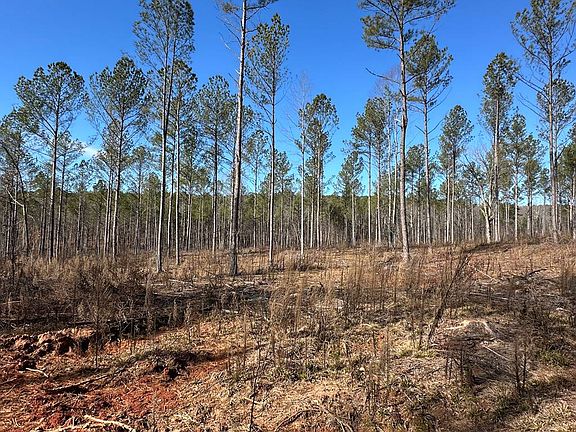 2nd image of 3-002D Butler Bridge Rd