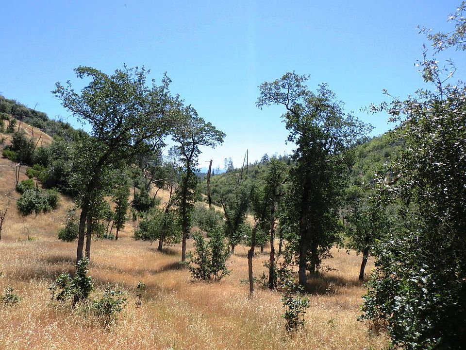 1st image of 38 Acres Aloha