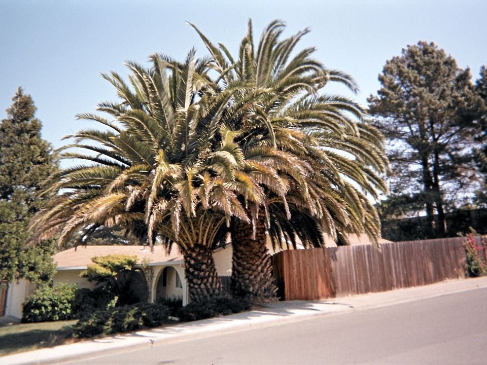 A Bungalow