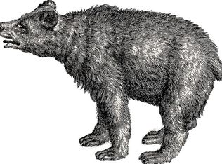 1962 Sutton Branch Rd, Sylva, NC 28779