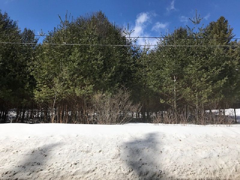 2nd image of 199 Elm Lake Rd