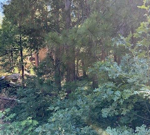 4th image of 858 Meadow Dr