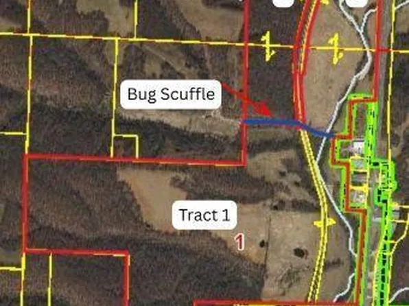 Bug Scuffle Ln, Anderson, MO 64831