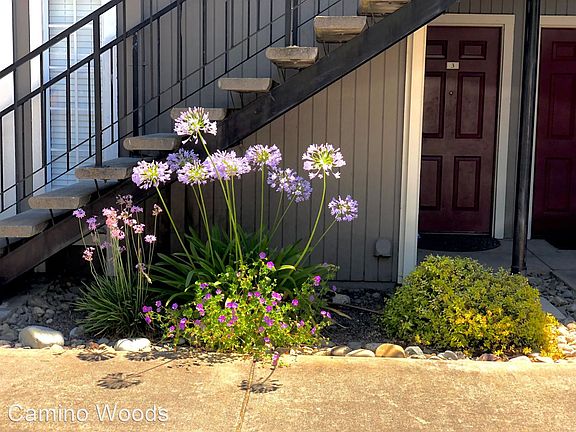 3rd image of 4605 El Camino Ave #15224347