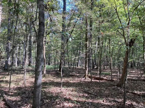 Boswell Rd, Okolona, AR 71962