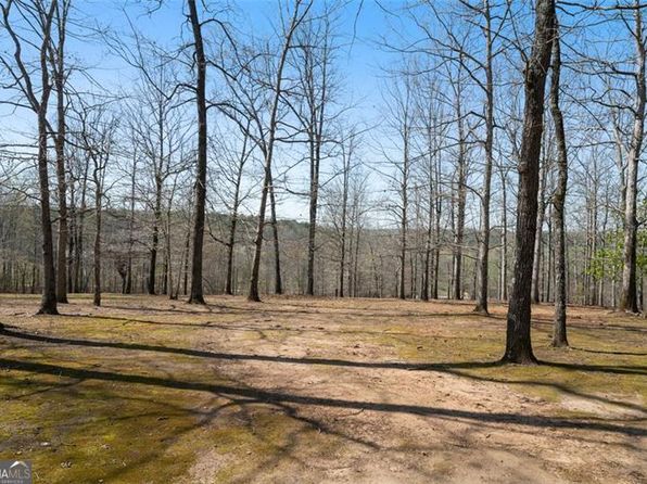680 Milligan Creek Rd, Roopville, GA 30170