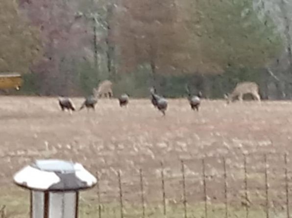 Hc73 220 B, Mountain Grove, MO 65711