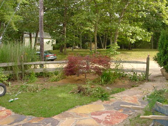 frontyard