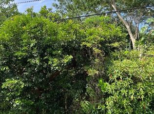 15-1623 Beach Rd LOT 49, Keaau, HI 96749