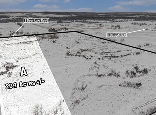 A S Deer Lake Rd, Reed City, MI 49677