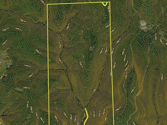 4th image of 1485 Four Mile Rd