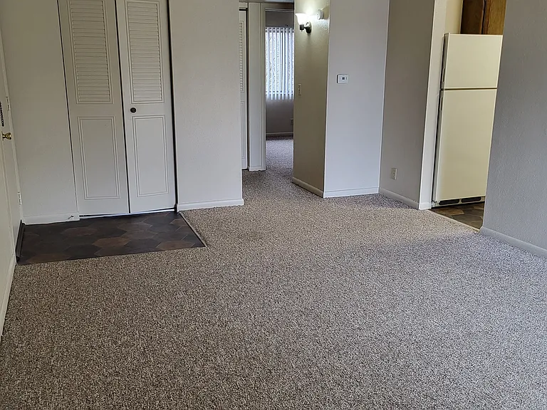 Village Terre Apartments — Photo 6