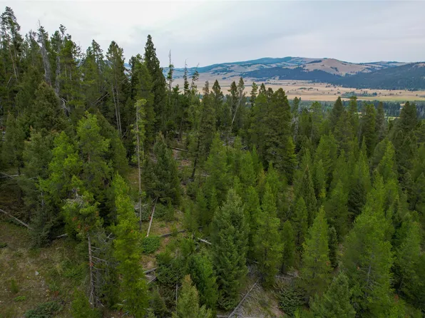 Nhn Old Corral Ln, Elliston, MT 59728