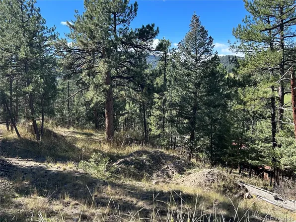 0 Pine Road, Evergreen, CO 80439