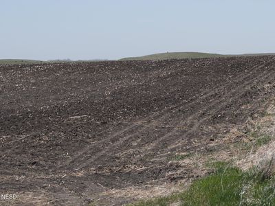 442nd Ave, Florence, SD, 57235