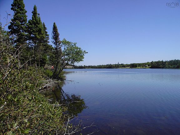 5th image of 45 Joanne Langford Dr