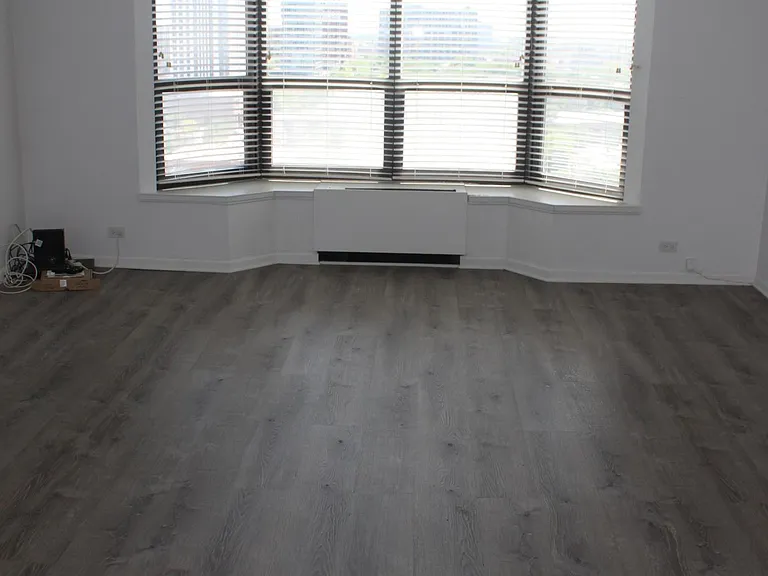 901 S Plymouth Ct #1301 — Photo 9