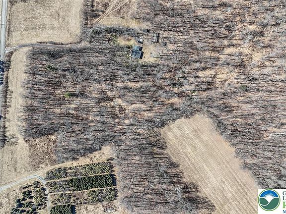 2nd image of Back Rd