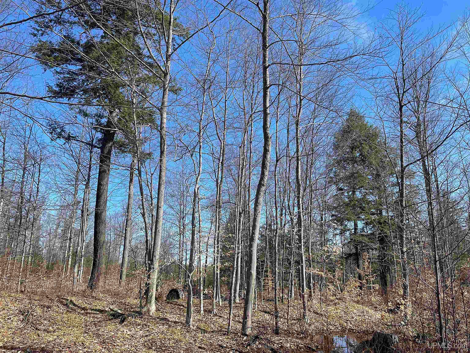 Vega Rd 160, Hermansville, MI 49847 MLS 50107738 Zillow