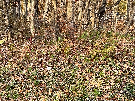 2nd image of Shooktown Rd