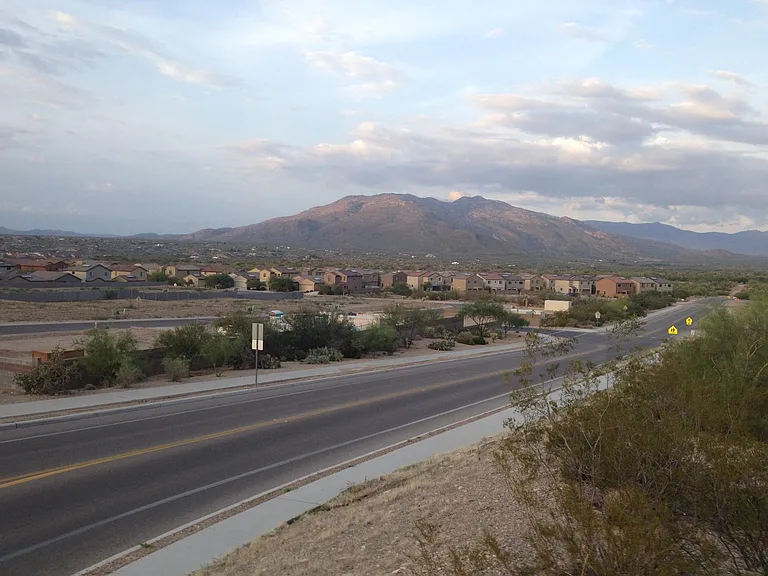 Rincon Mountains (to east of house)