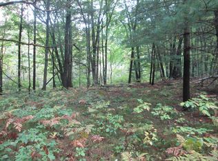 158 Stoney Lake Blvd, Stanton, MI 48888