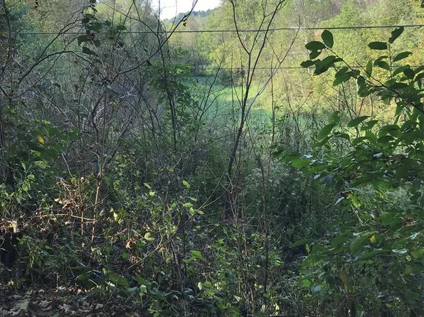 LOT 47 Grinstead Hl, Chilhowie, VA 24319