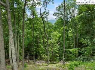 WR44 6964 Beech Mountain Road, Elk Park, NC 28622