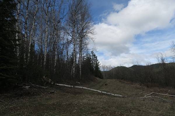 2nd image of Terror Gulch