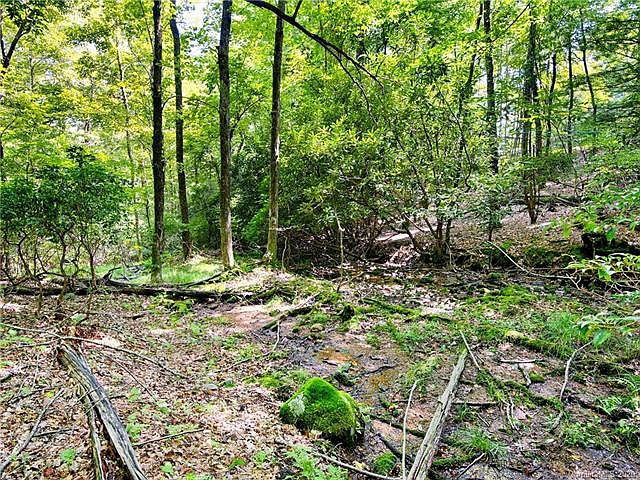 1st image of 216 Forge Crest Dr #Lo37