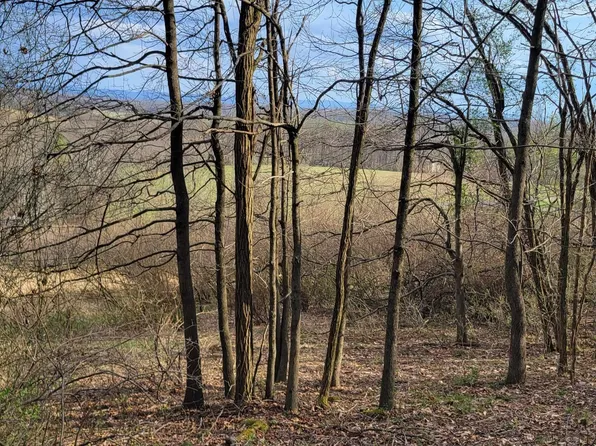 8 Brewer Rd, Morgantown, WV 26508