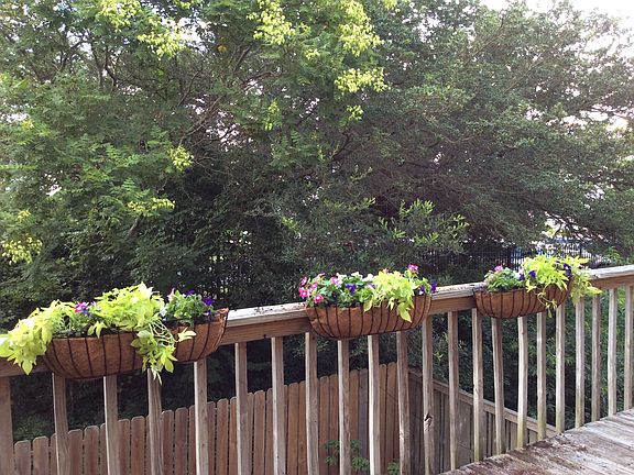 deck view - private!