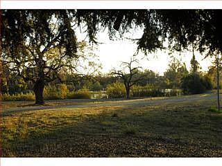 2nd image of 3474 Noble Ave